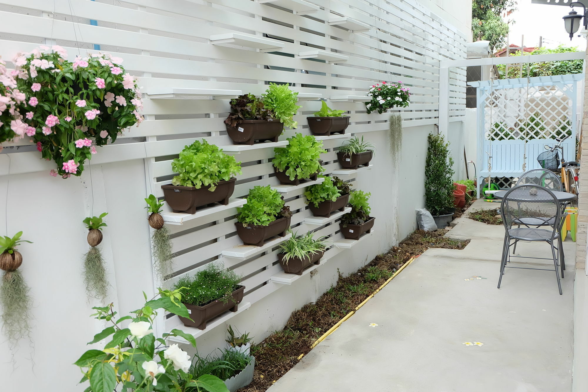 Noble Baan Pastel Hotel Chiang Mai Exterior photo